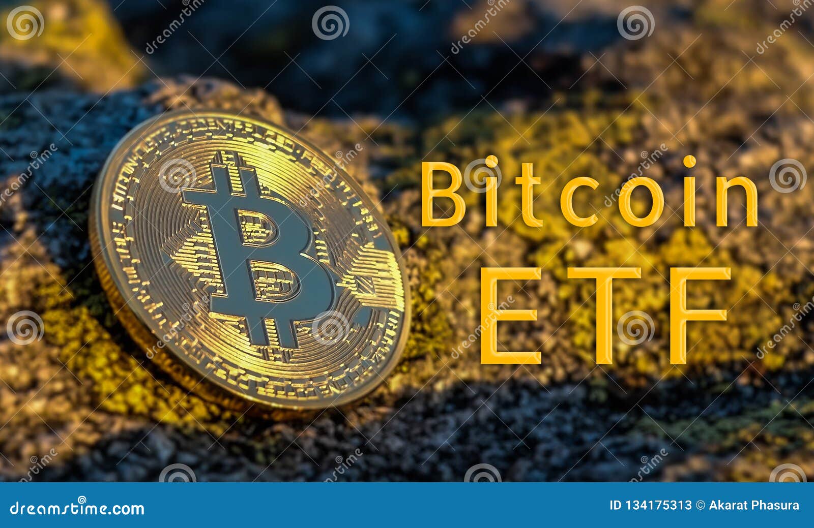 bitcoin investing etf