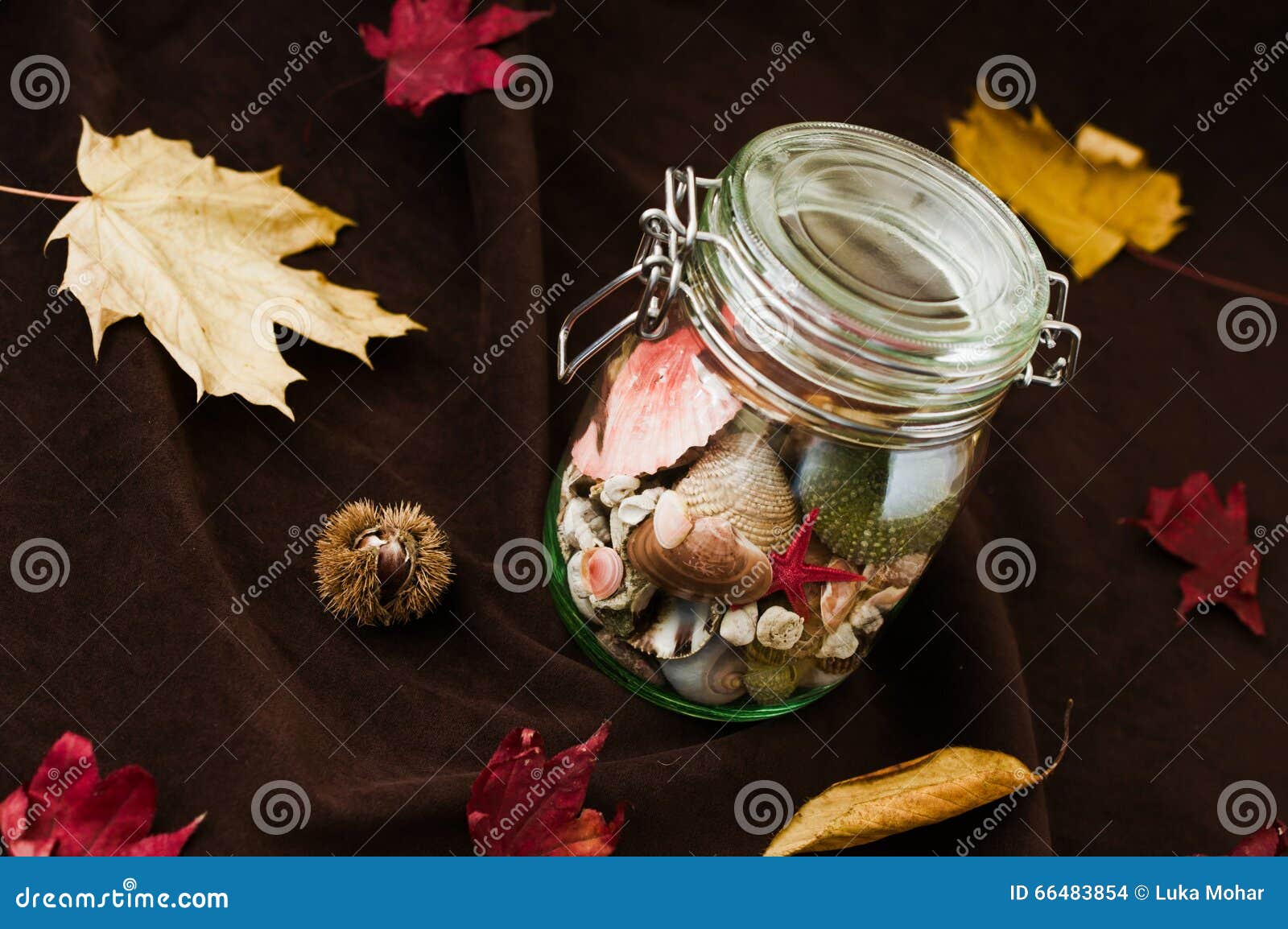 concept of changing seasons summer in jar in autumn setting