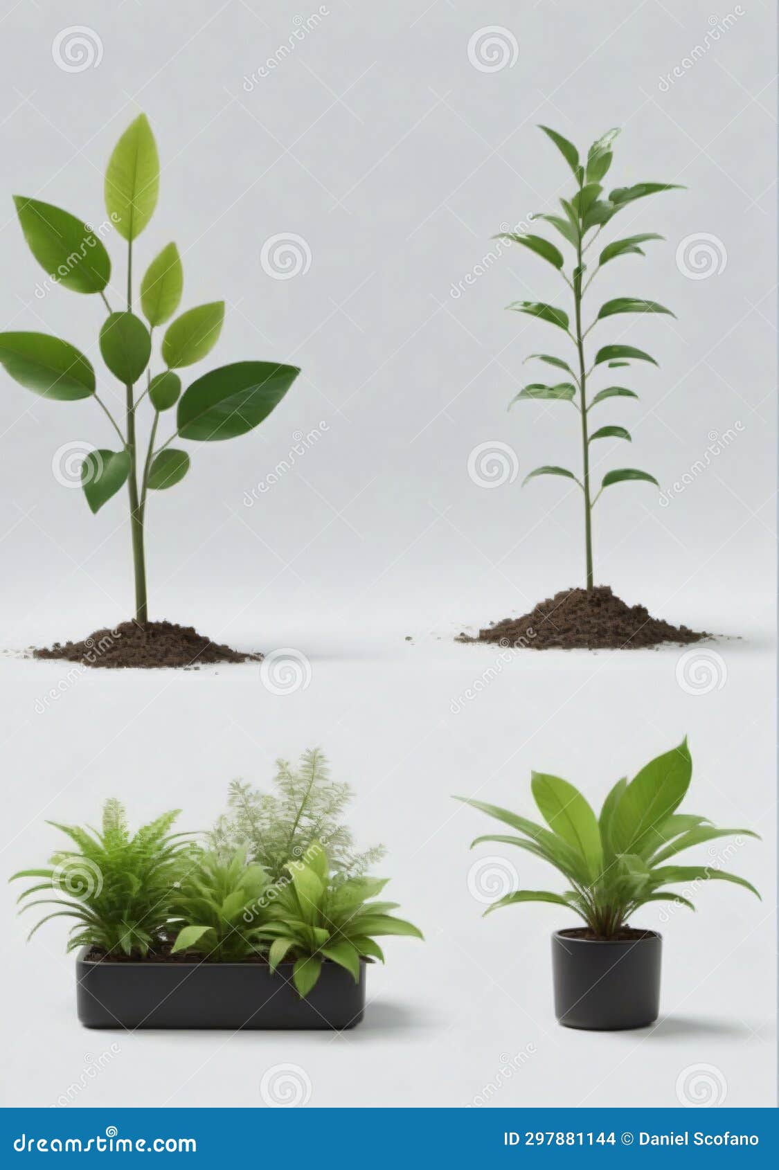 Collection of Plants Isolated on a White Background. Generative AI