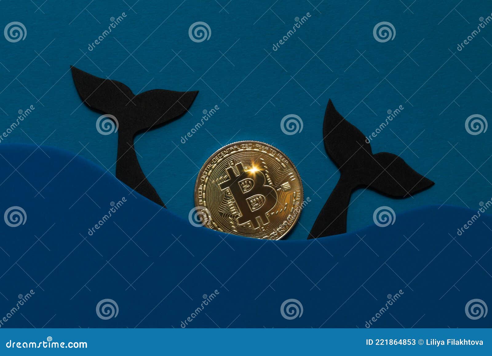 Photos de Baleine à Crypto - Photos de stock gratuites et libres de droits  de Dreamstime