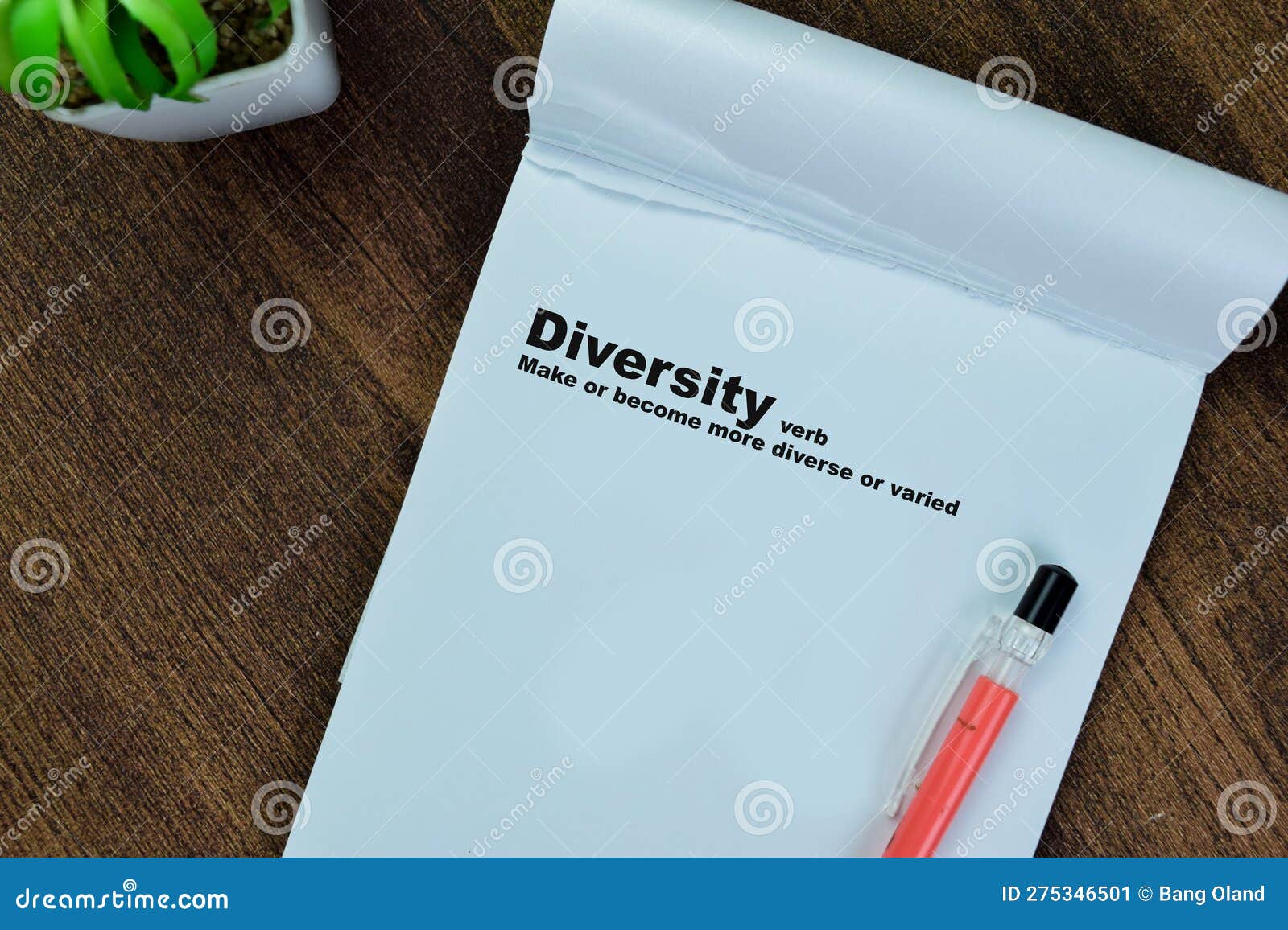 Concept of Definition Diversity Verb Write on Book Isolated on Wooden