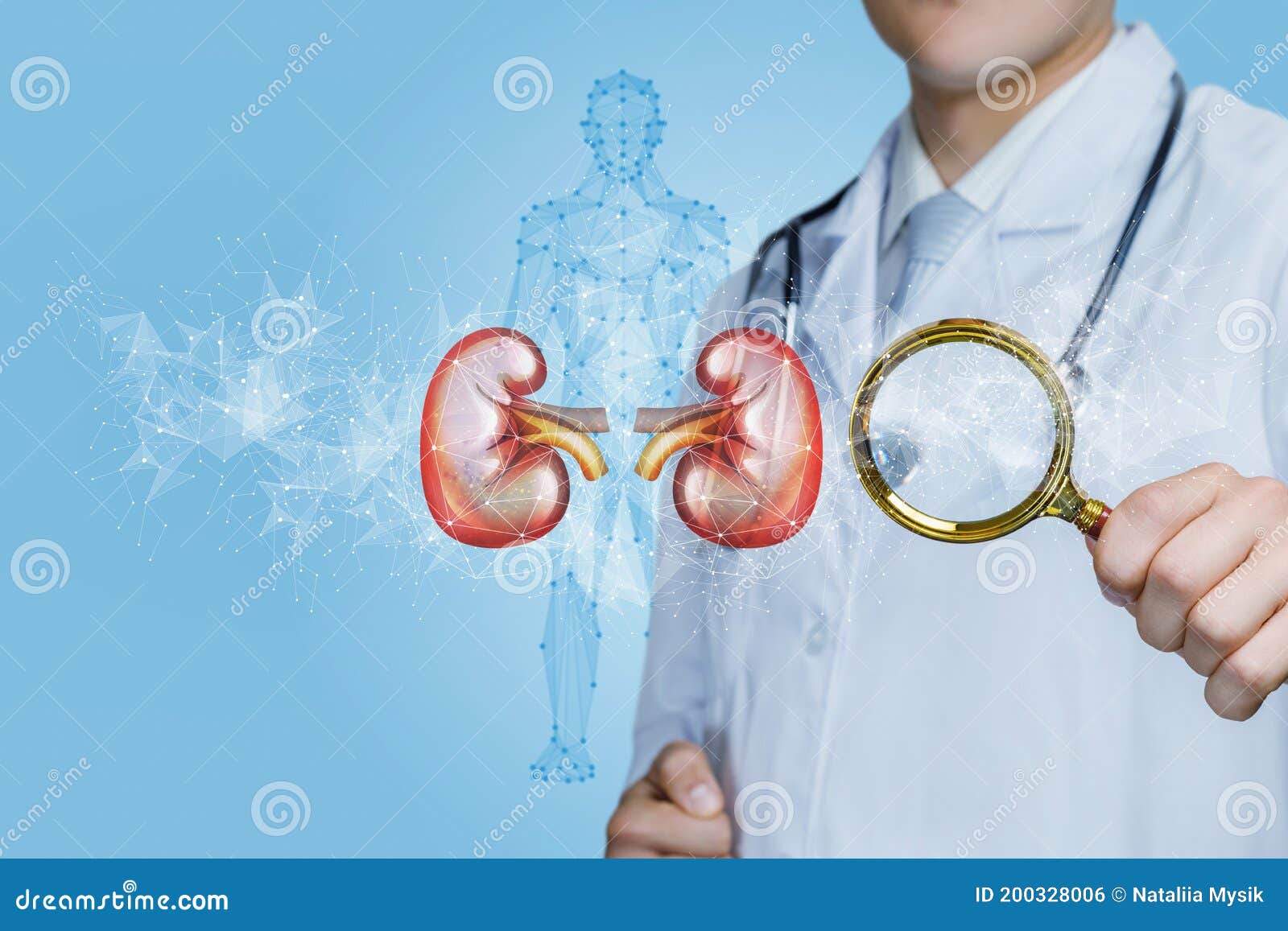 concept of diagnosis and treatment of kidney disease