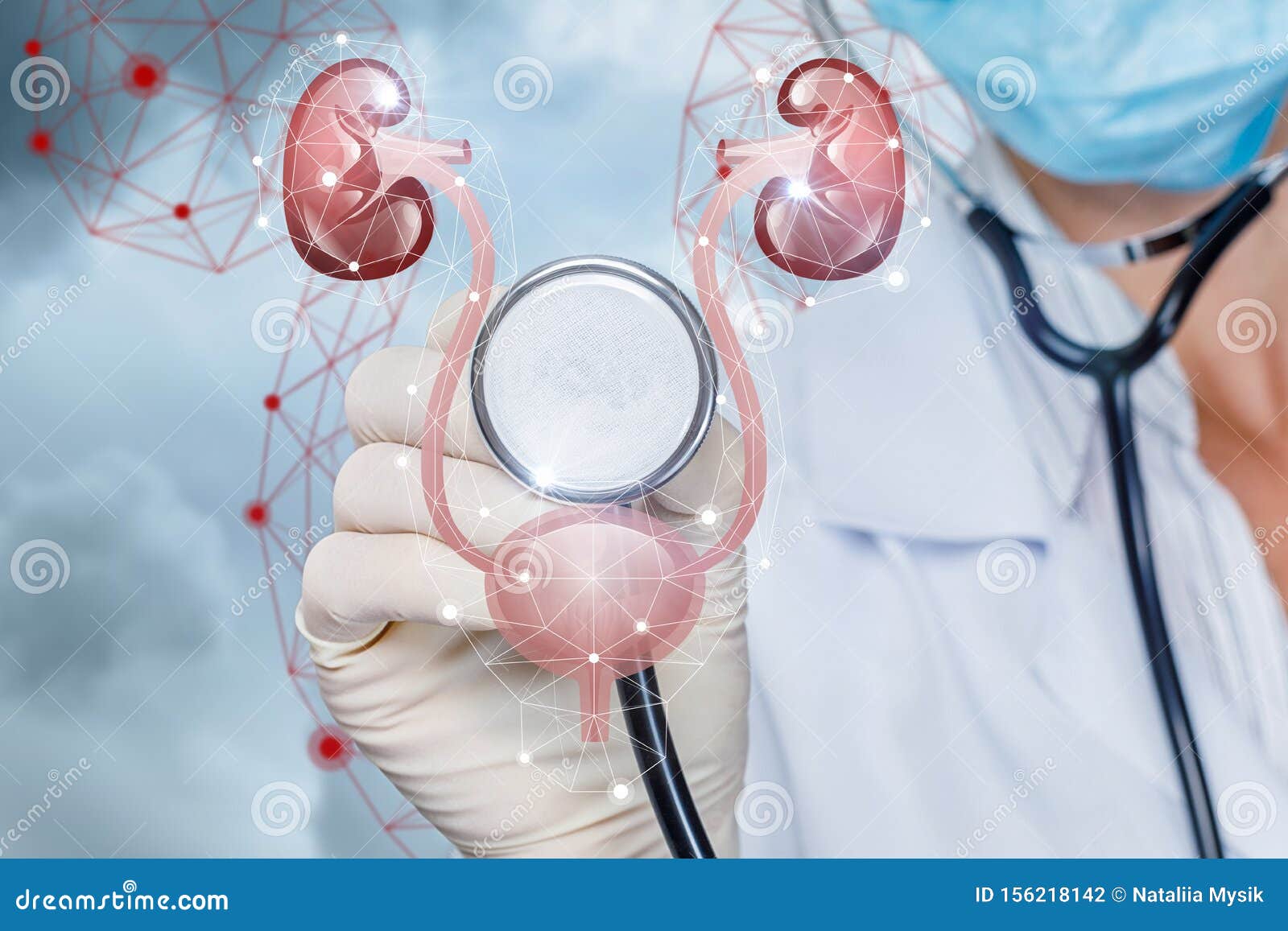 The Concept of Diagnosis and Treatment of the Urinary System Stock