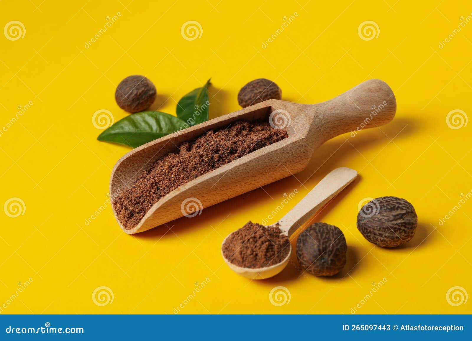 Concept of Different Spices and Condiments, Nutmegs Stock Image Image