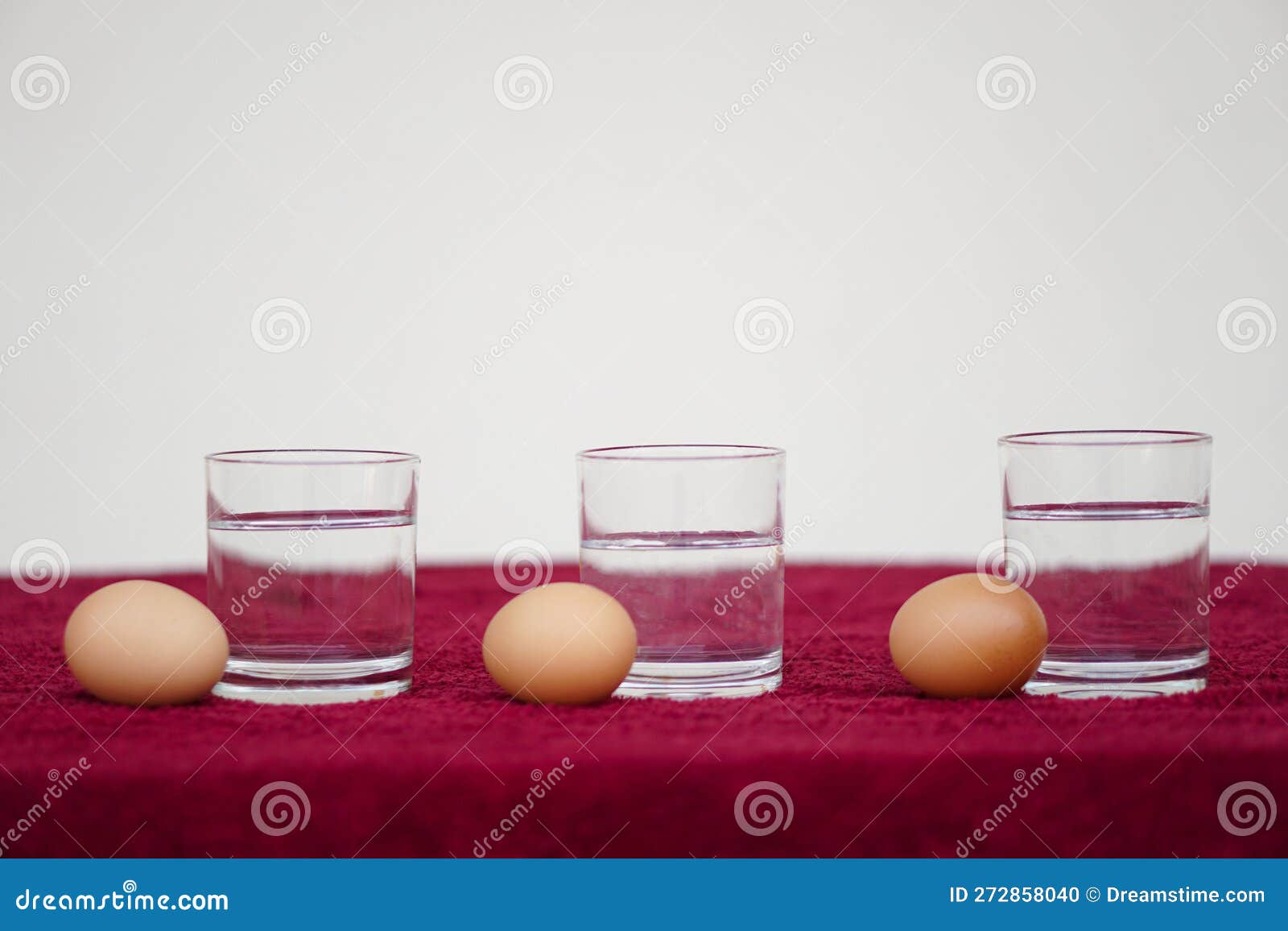 concept, easy science test freshness of egg.