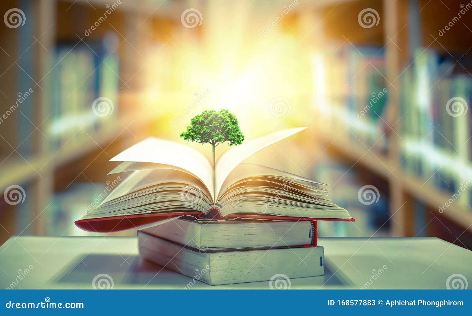 The Concept of Education by Planting a Tree of Knowledge in the Opening