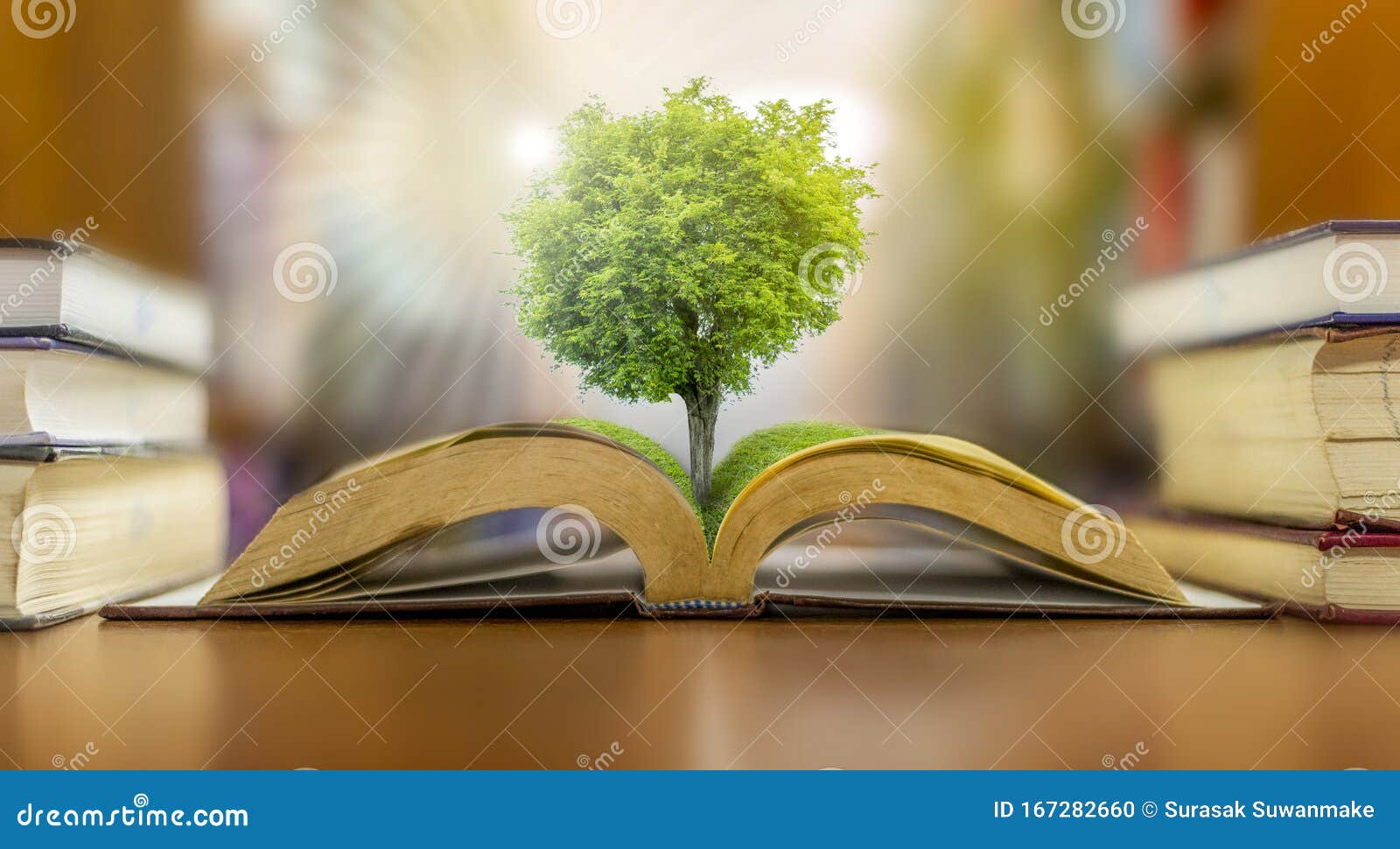 the concept of education in the world, earth day or environmental protection, the hand to protect the growing forest