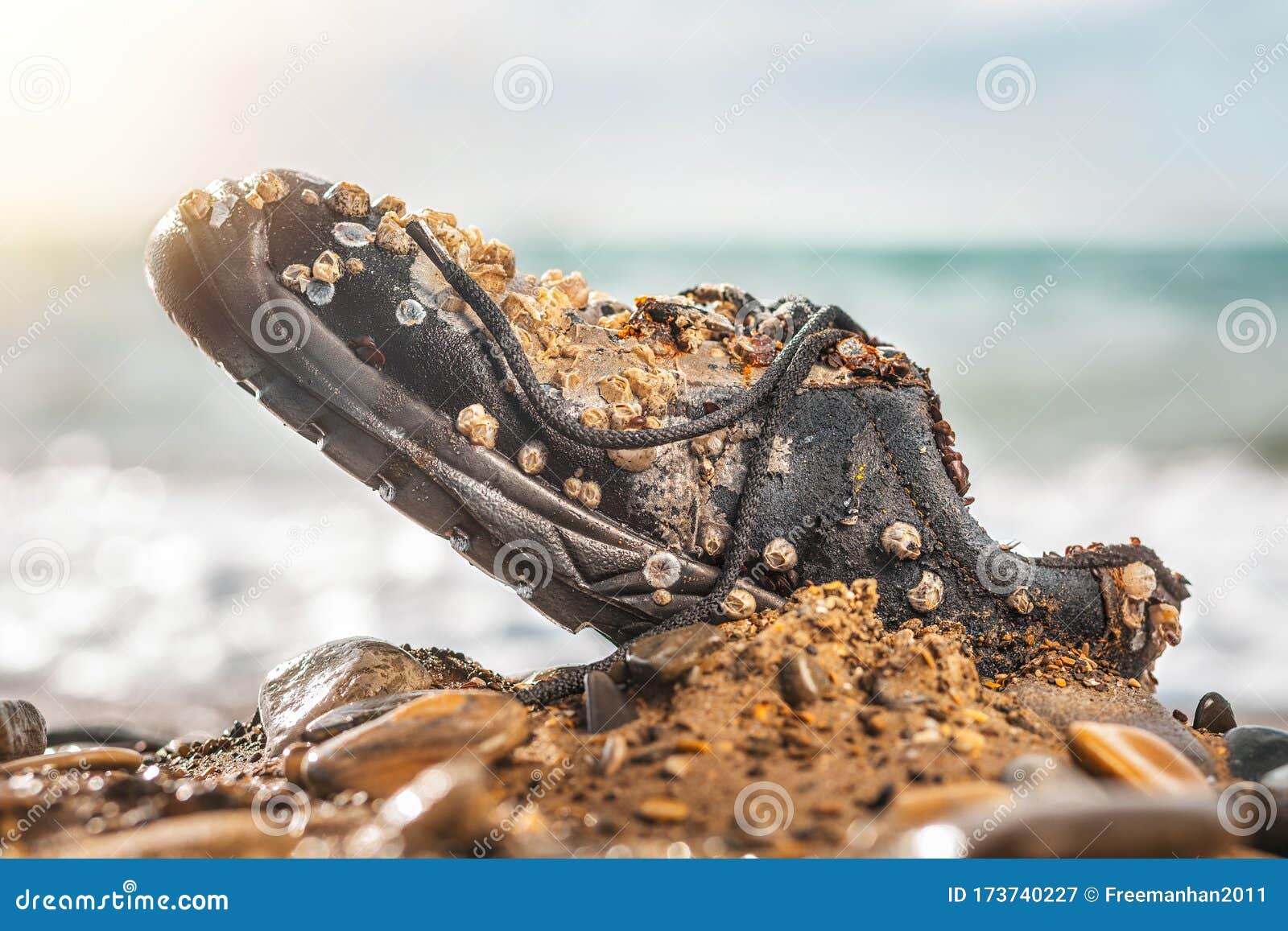 Concept of Environmental Protection and Pollution. an Old Shoe, Covered ...