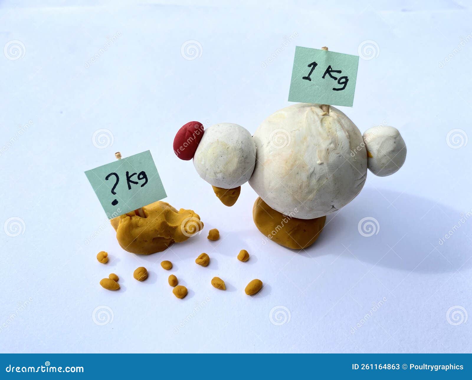 concept, feed conversion ratio in chicken enzyme and digestibility and animal farm feed quality