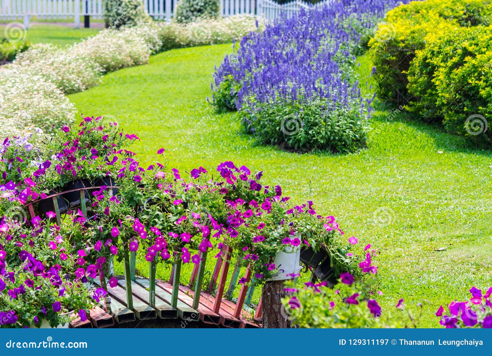 concept and idea cozy home flower garden on summer. stock image