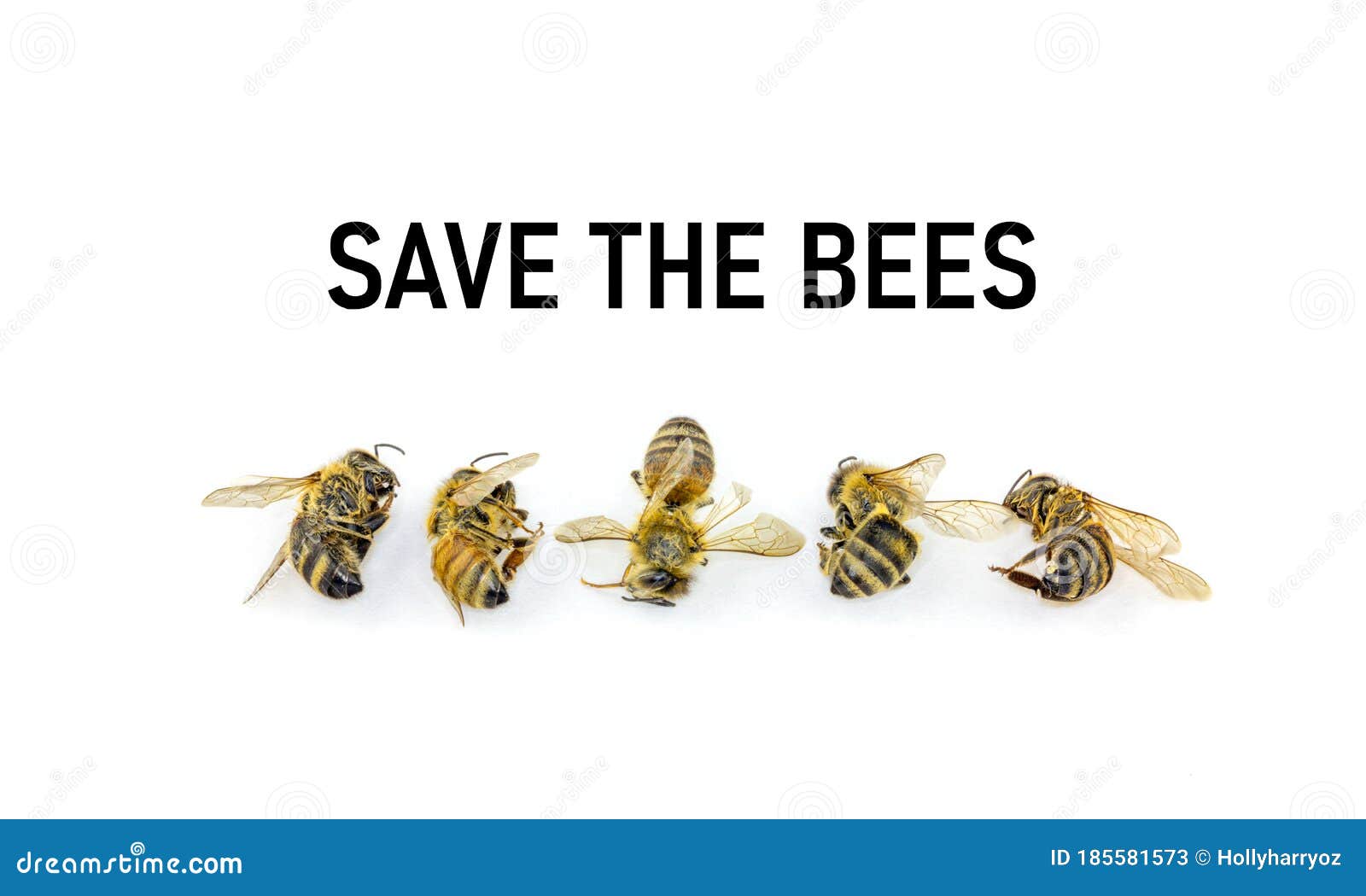 Save the Bees, Decline in Bees Due To Habitat Destruction ...