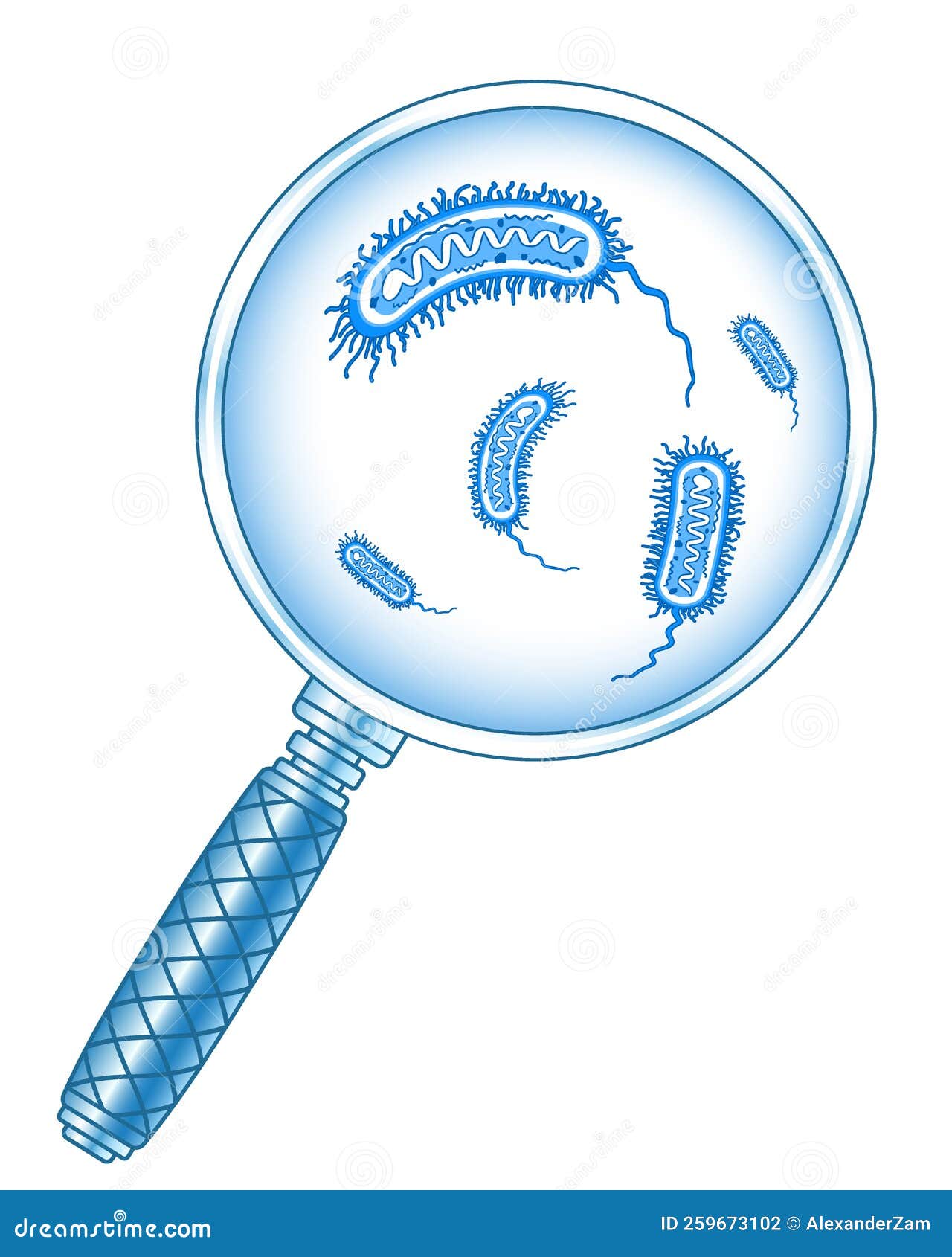 Bacteria and magnifier stock vector. Illustration of lens 259673102