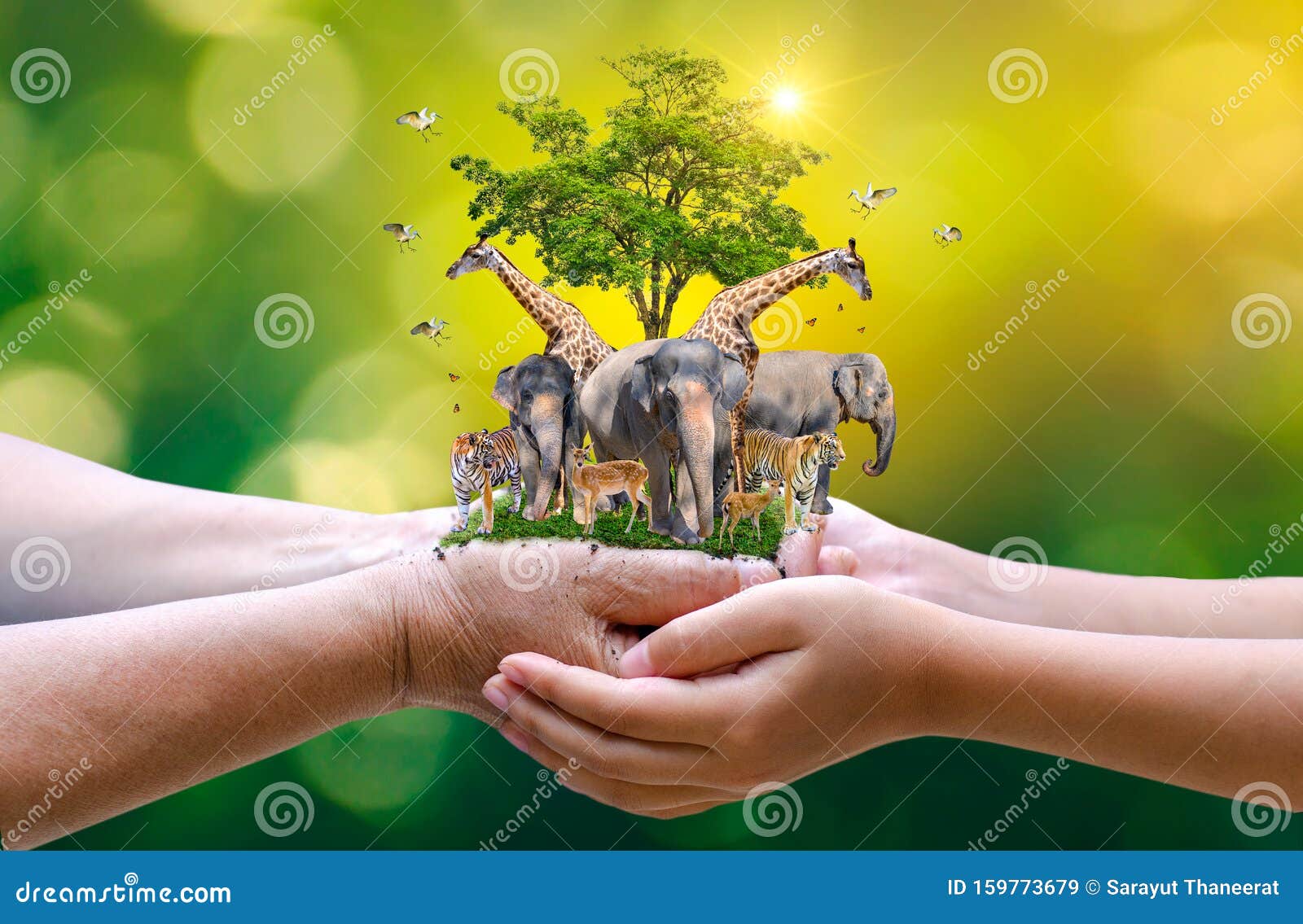 Concept Nature Reserve Conserve Wildlife Reserve Deer Global Warming Food Loaf Human Hands Protecting the Wild and Stock Image - Image of abstract, natural: 159773679