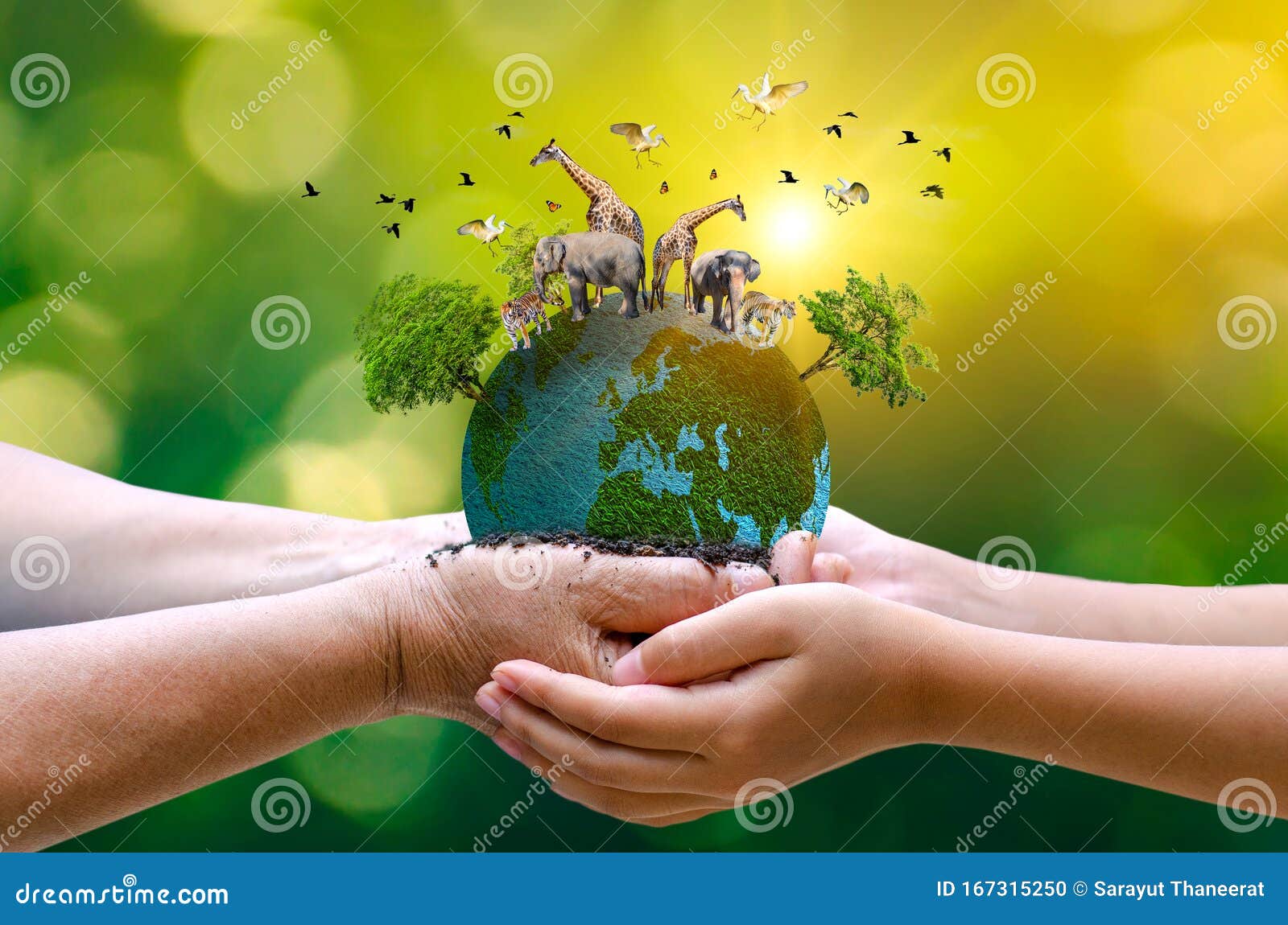 Concept Nature Reserve Conserve Wildlife Tiger Deer Global Warming Food Loaf Ecology Human Hands Protecting the Wild and Stock Photo - Image of life, preserve: 167315250