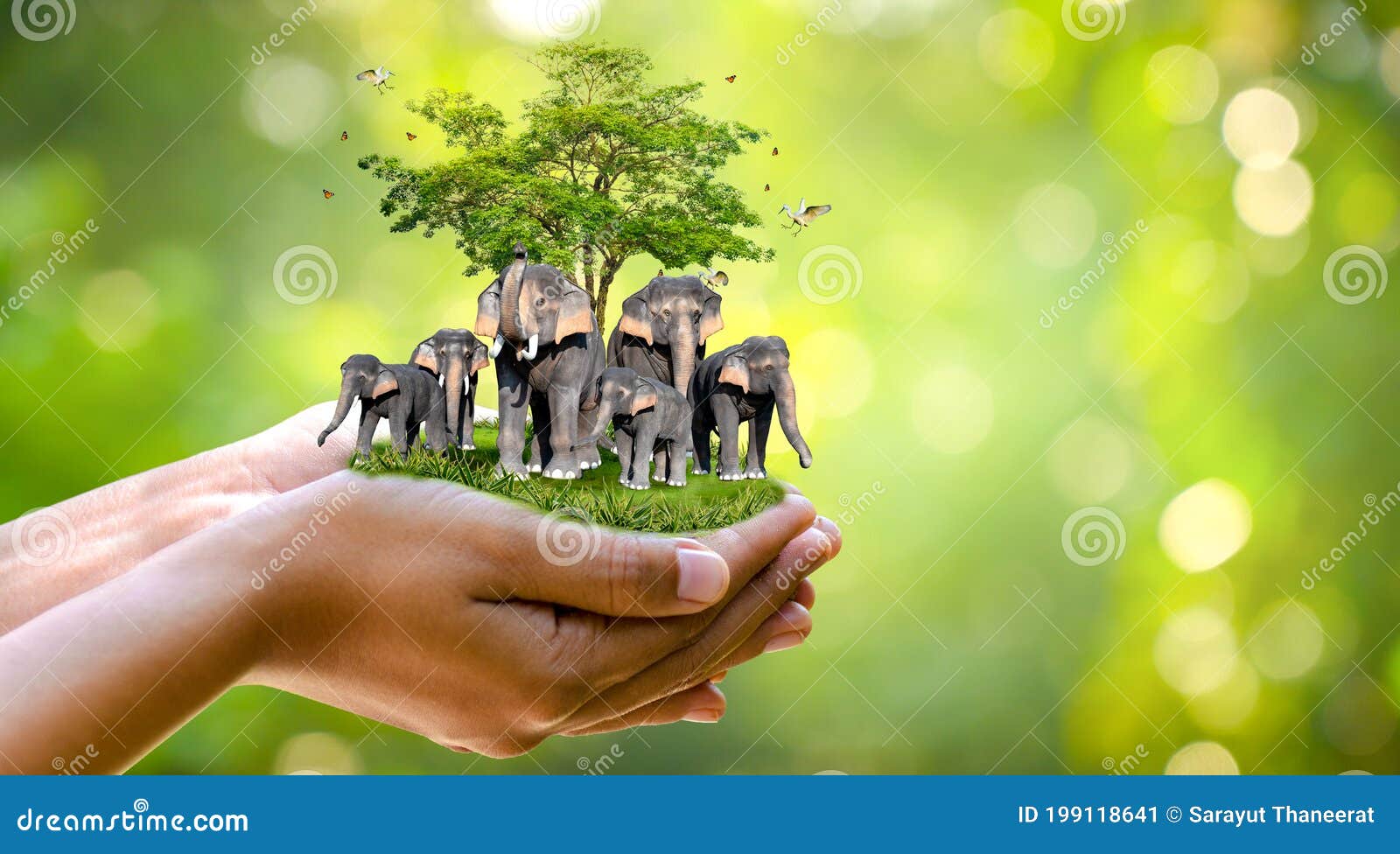 Concept Nature Reserve Conserve Wildlife Reserve Tiger Deer Global Warming Food Loaf Ecology Human Hands Protecting the Wild and Stock Image - Image of green, concept: 199118641 Concept Nature Reserve Conserve Wildlife Reserve Tiger Deer Global Warming Food Loaf Ecology Human Hands Protecting the Wild and Stock Image - Image of green, concept: 199118641