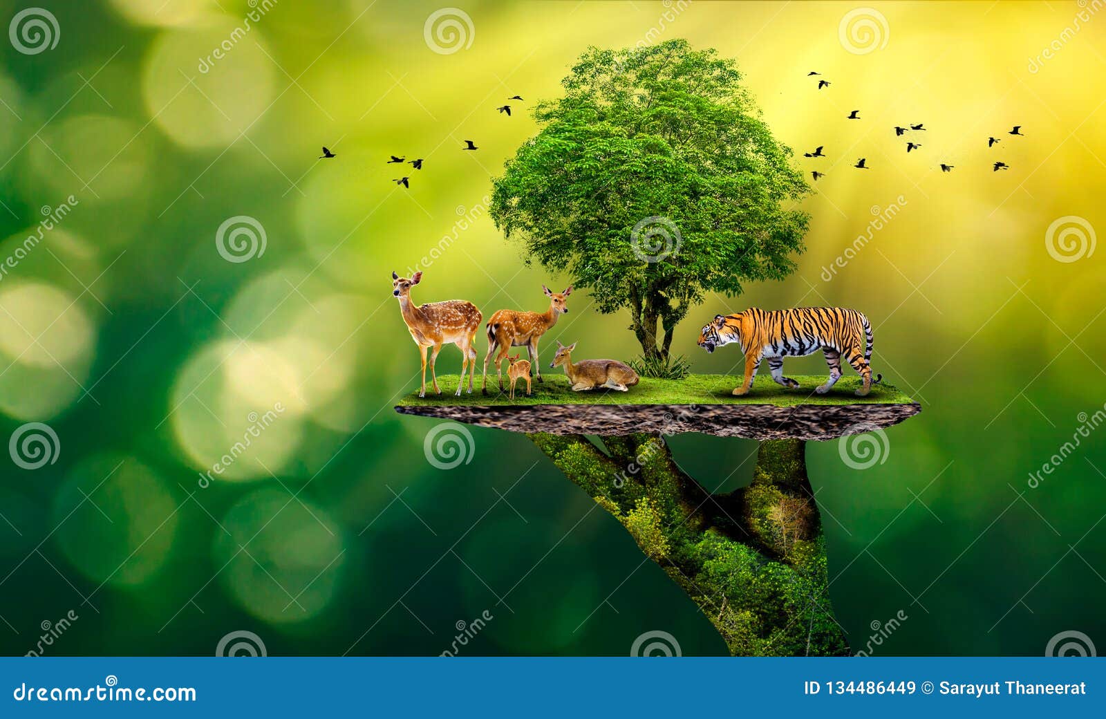 concept nature reserve conserve wildlife reserve tiger deer global warming food loaf ecology human hands protecting the wild and w