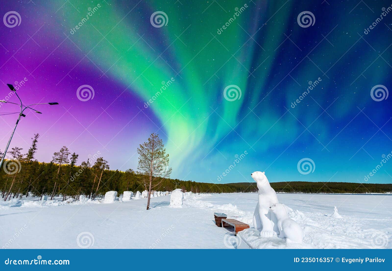 Concept Northern Lights Travel Banner. Arctic Polar Bears Against ...