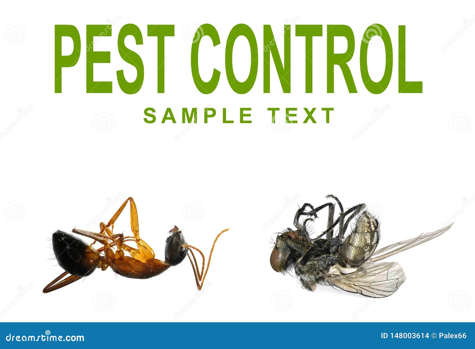 Concept of pest control stock photo. Image of existence 148003614
