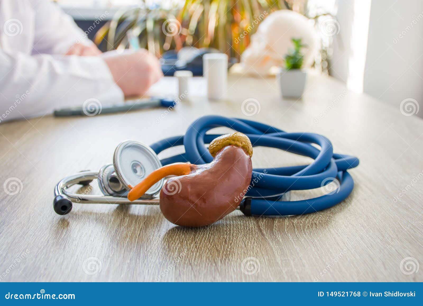 concept photo of diagnosis and treatment of kidneys. in foreground is model of kidney near stethoscope on table in background blur