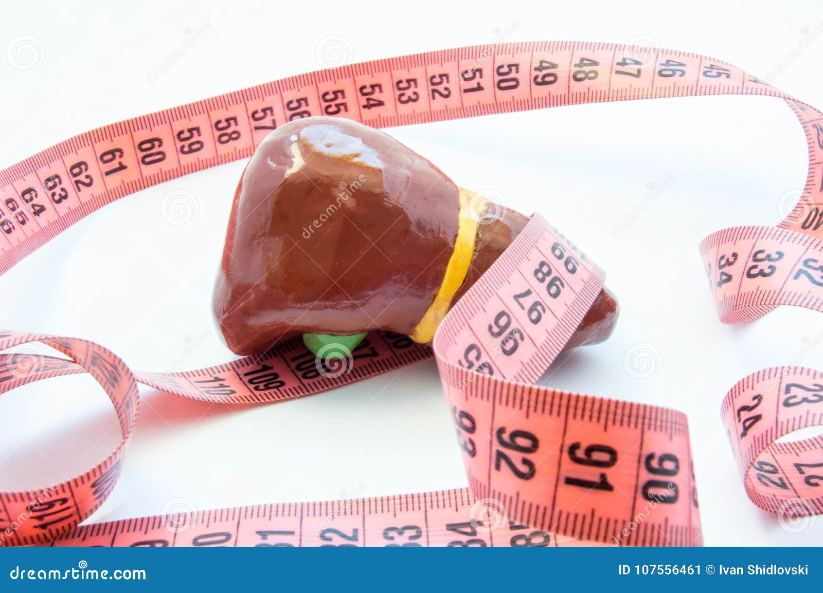 concept photo enlarged liver or gallbladder. anatomical liver figure next to measuring tape. visualization enlarge organ and bile