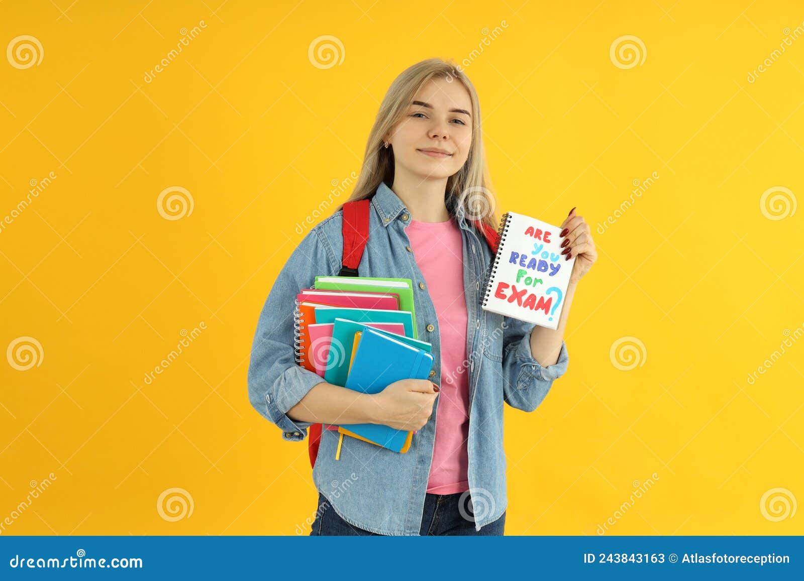 concept of preapring to exams and tests with student girl