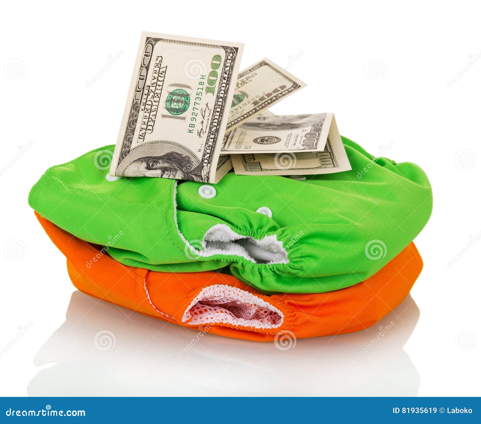 reusable nappy bolsa