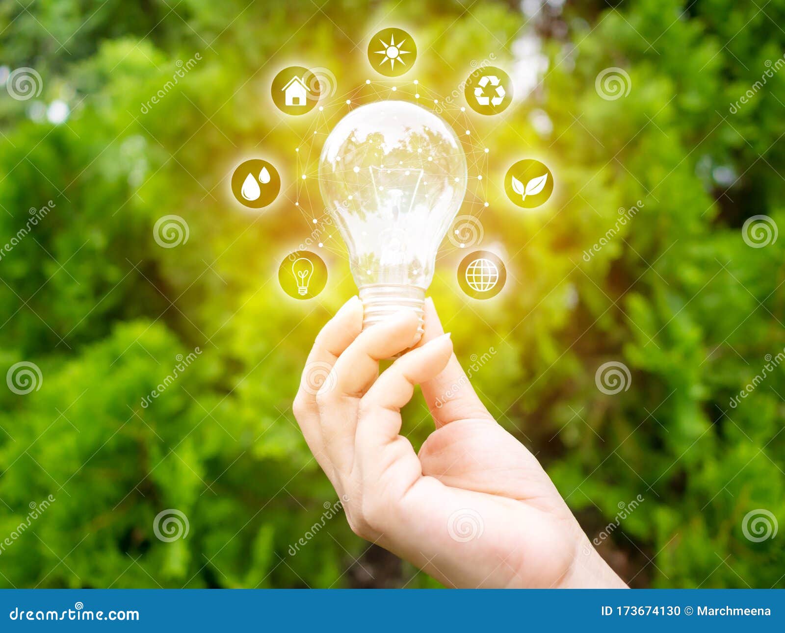 concept save energy efficiency. hand holding light bulb with icon on blurred tree background