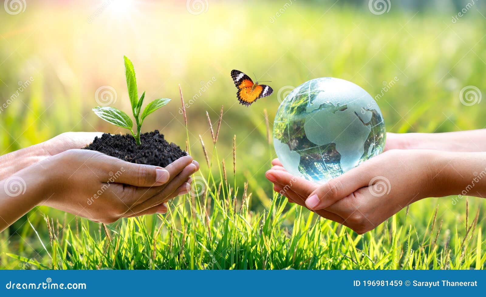 Concept Save The World Save Environment The World Is In The Grass Of