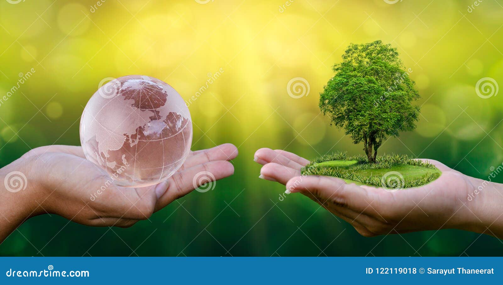 Concept Save the World Save Environment the World is in the Hands ...