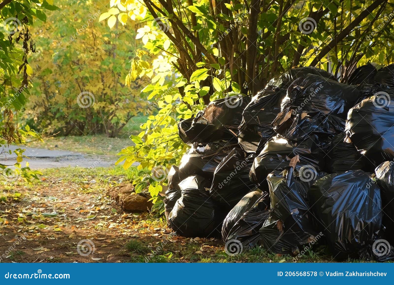 Garbage-Bag-Trees: Garbage-Bag-Tree!