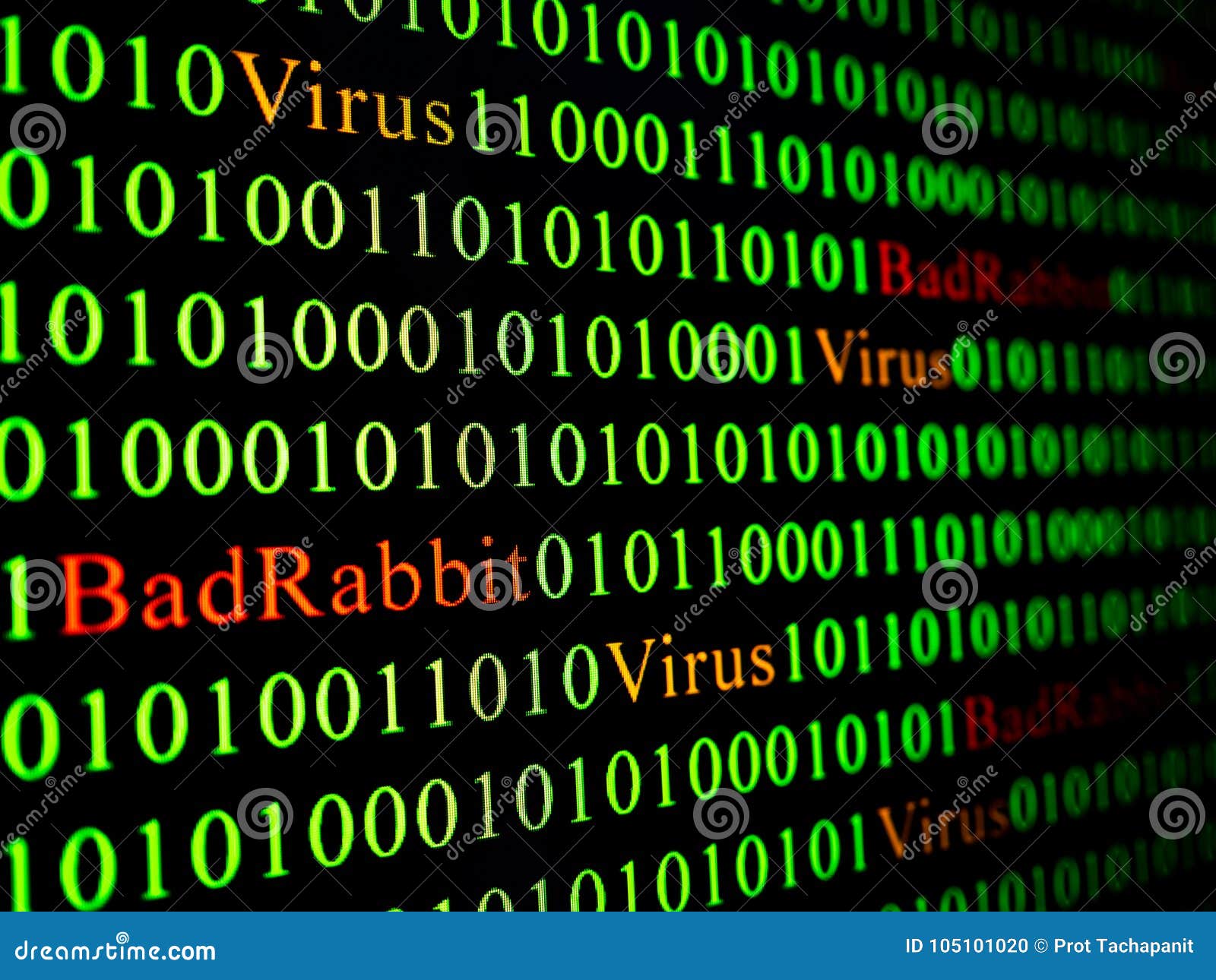 655 Code Red Virus Photos Free Royalty Free Stock Photos From Dreamstime 655 Code Red Virus Photos Free Royalty Free Stock Photos From Dreamstime