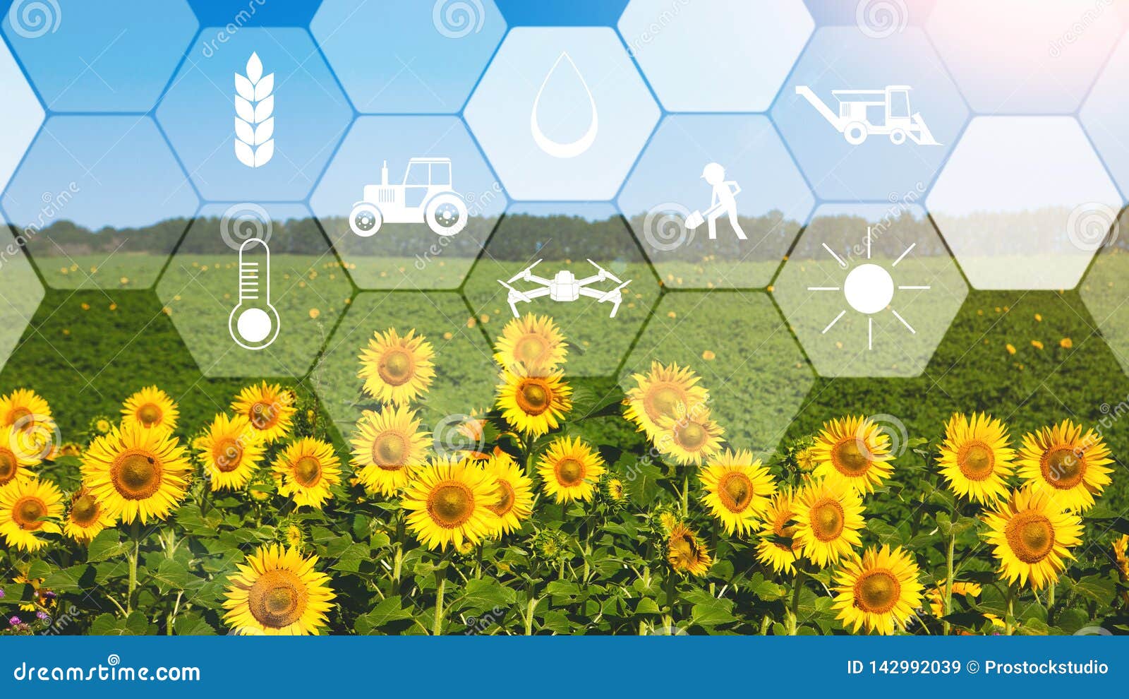 Concept Of Smart Agriculture And Modern Technology Stock Image - Image ...