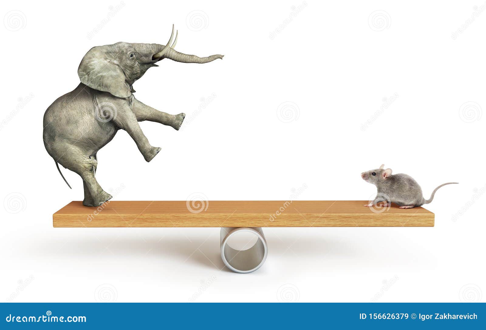 concept of things importance. elephant and mouse balanced on a seesaw