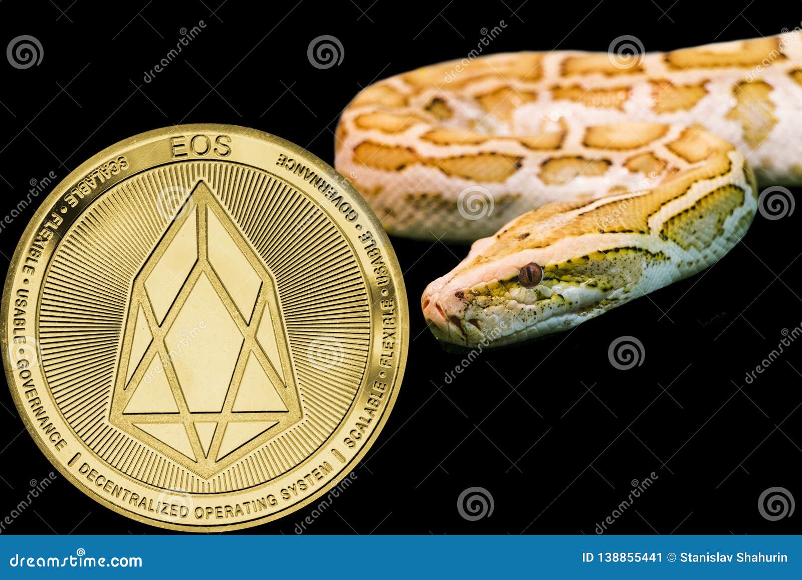 Gold Python and Coin Cryptocurrency EOS. Stock Image - Image of golden,  danger: 138855441