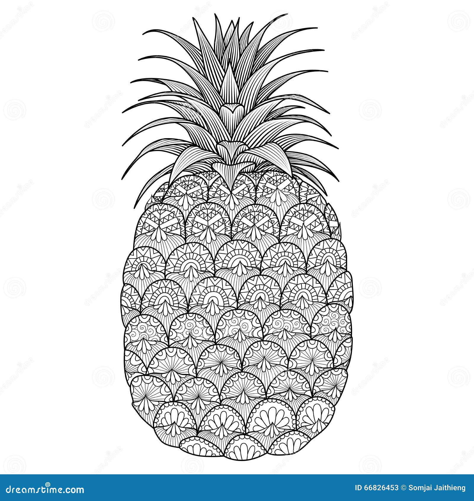illustration stock conception ananas de schma image