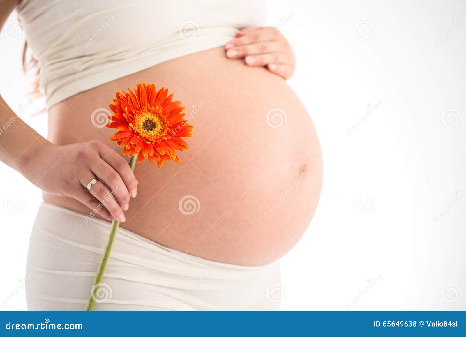Concepto Del Embarazo Mujer Embarazada Que Sostiene La Flor Del Gerbera Foto de archivo - Imagen de madre, belleza: 65649638 Concepto Del Embarazo Mujer Embarazada Que Sostiene La Flor Del Gerbera Foto de archivo - Imagen de madre, belleza: 65649638