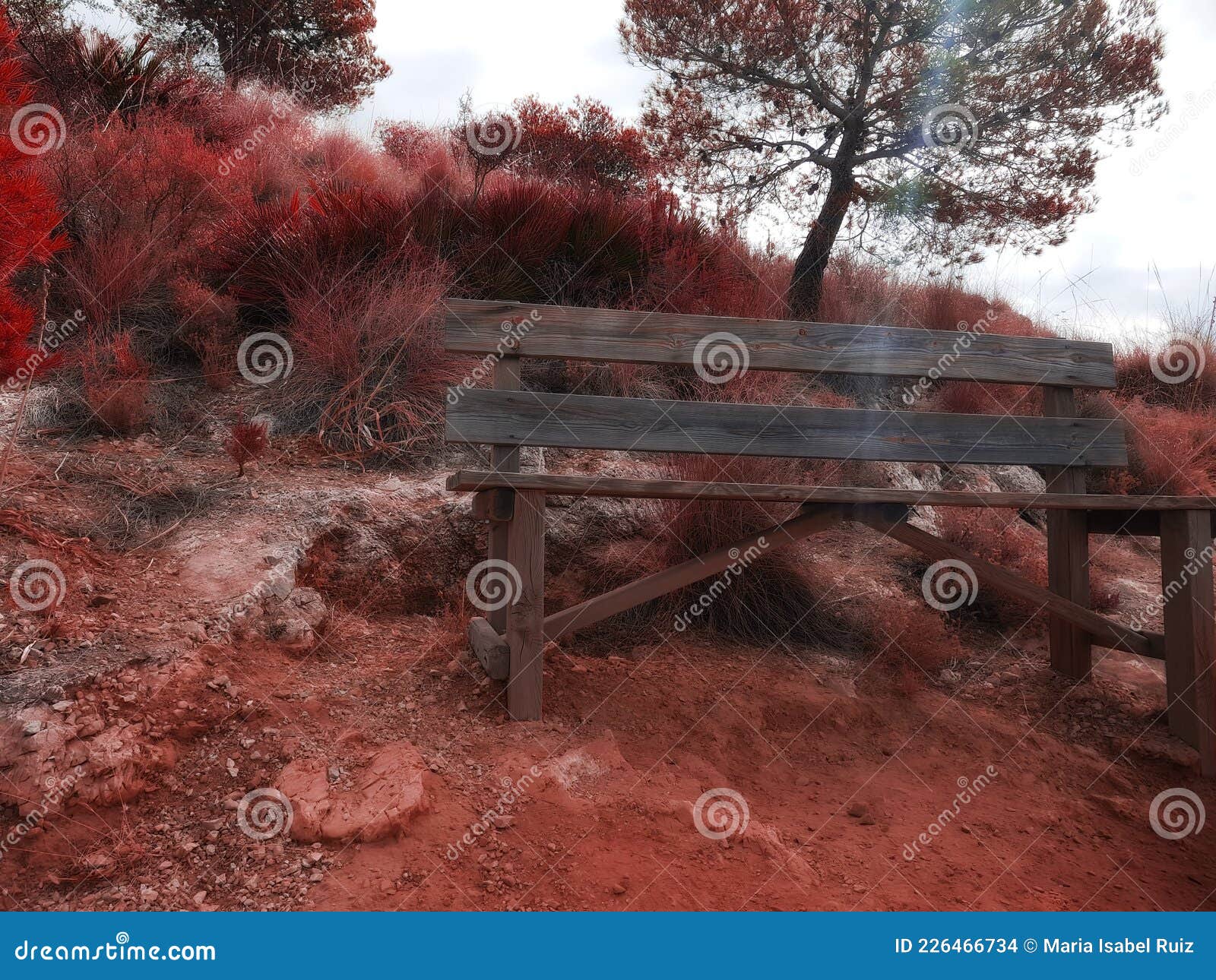 concepto: lonoly. lonely couch in the mountain