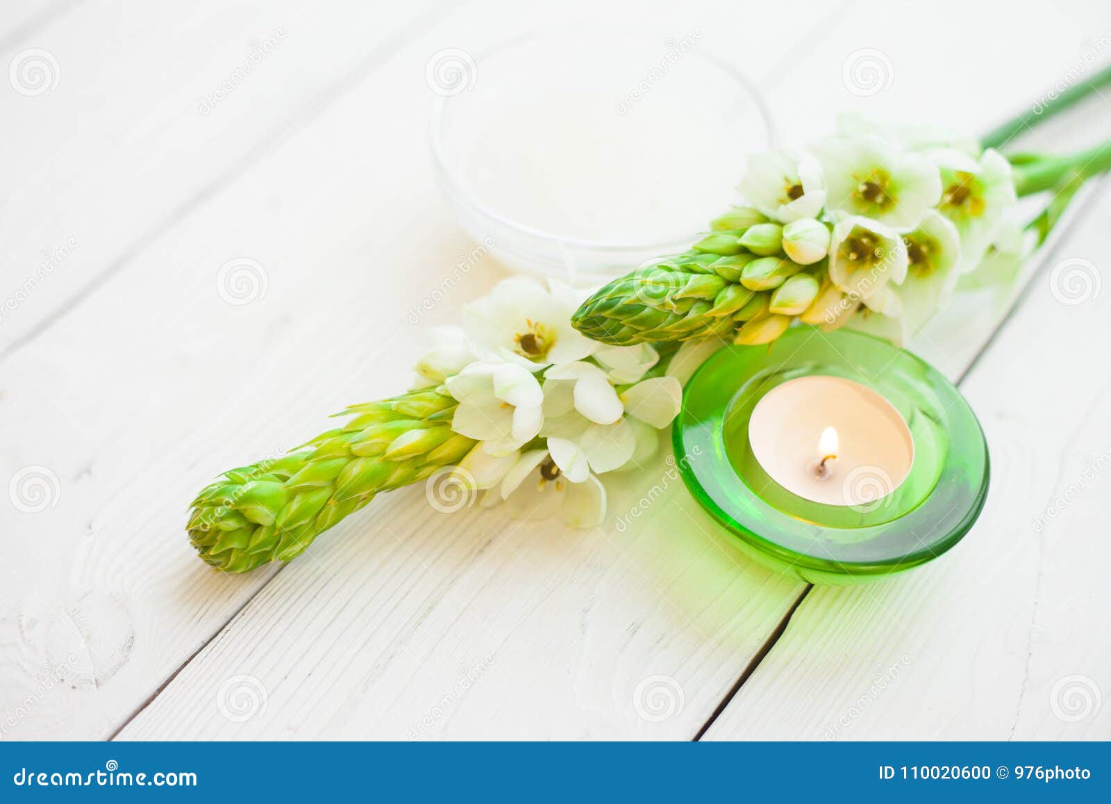 Concepto Verde Del Aromatherapy Foto de archivo Imagen de peladura