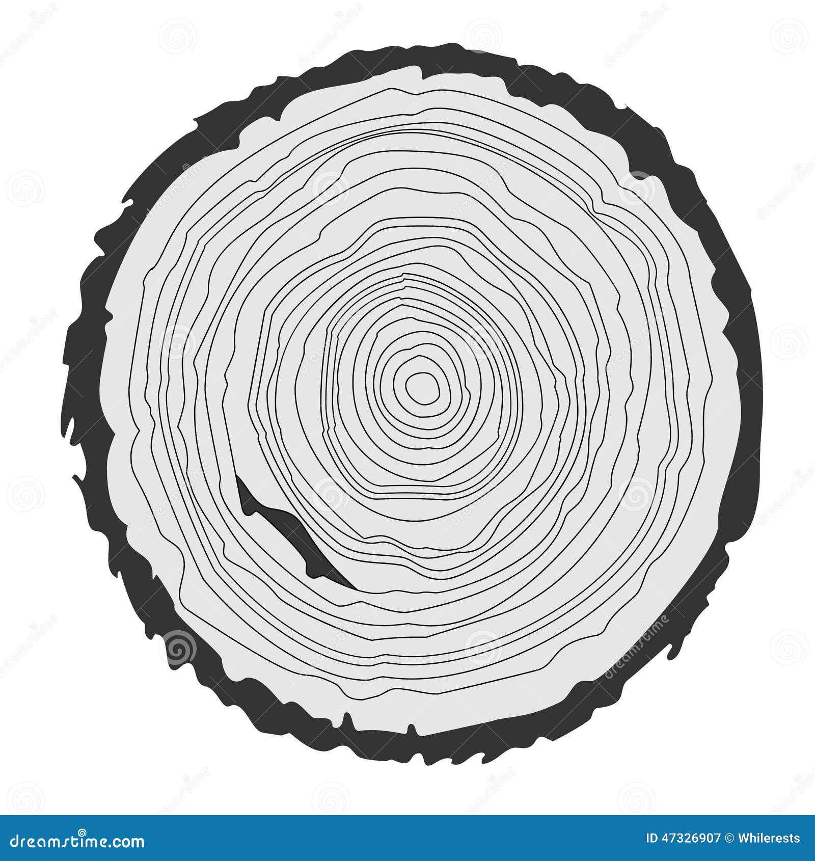 clipart tree rings - photo #32