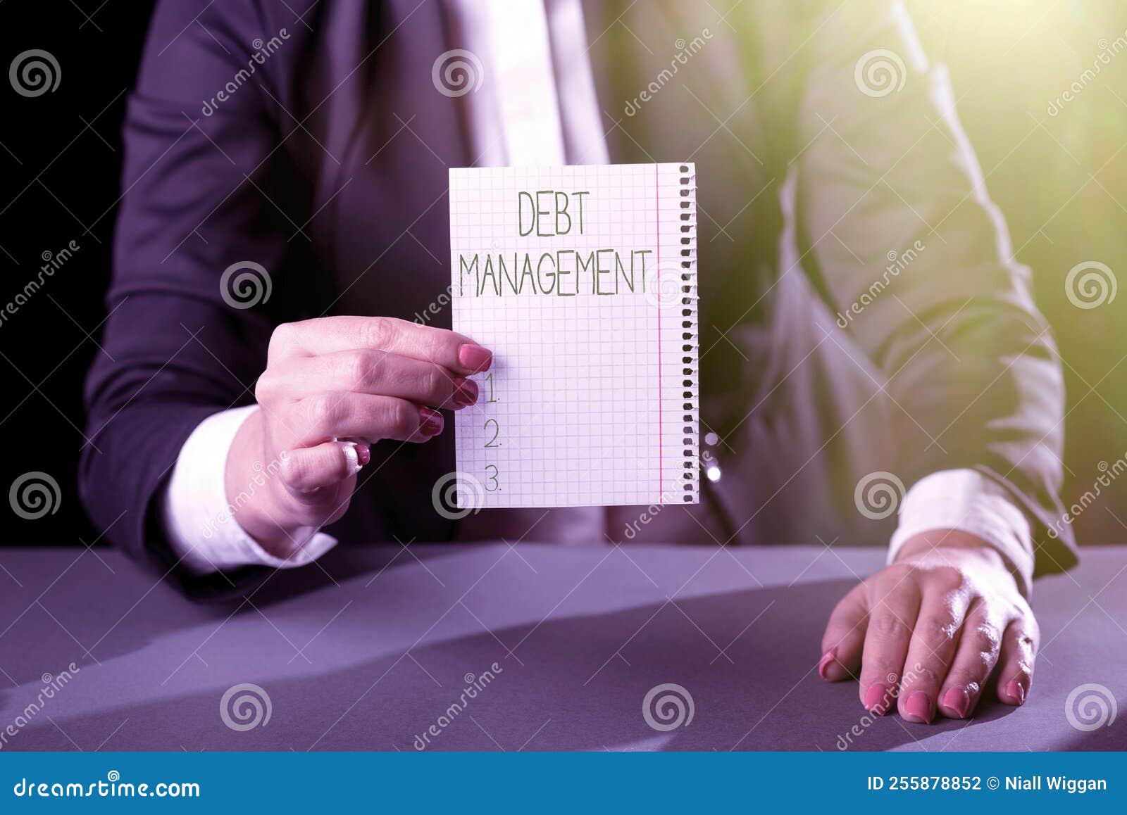 conceptual caption debt managementthe formal agreement between a debtor and a creditor. business overview the formal