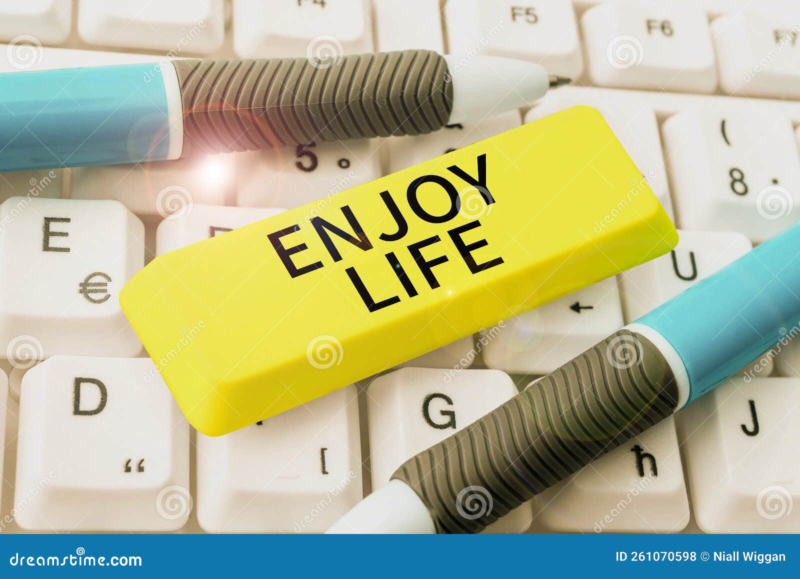 hand writing sign enjoy life. internet concept any thing, place,food or person, that makes you relax and happy