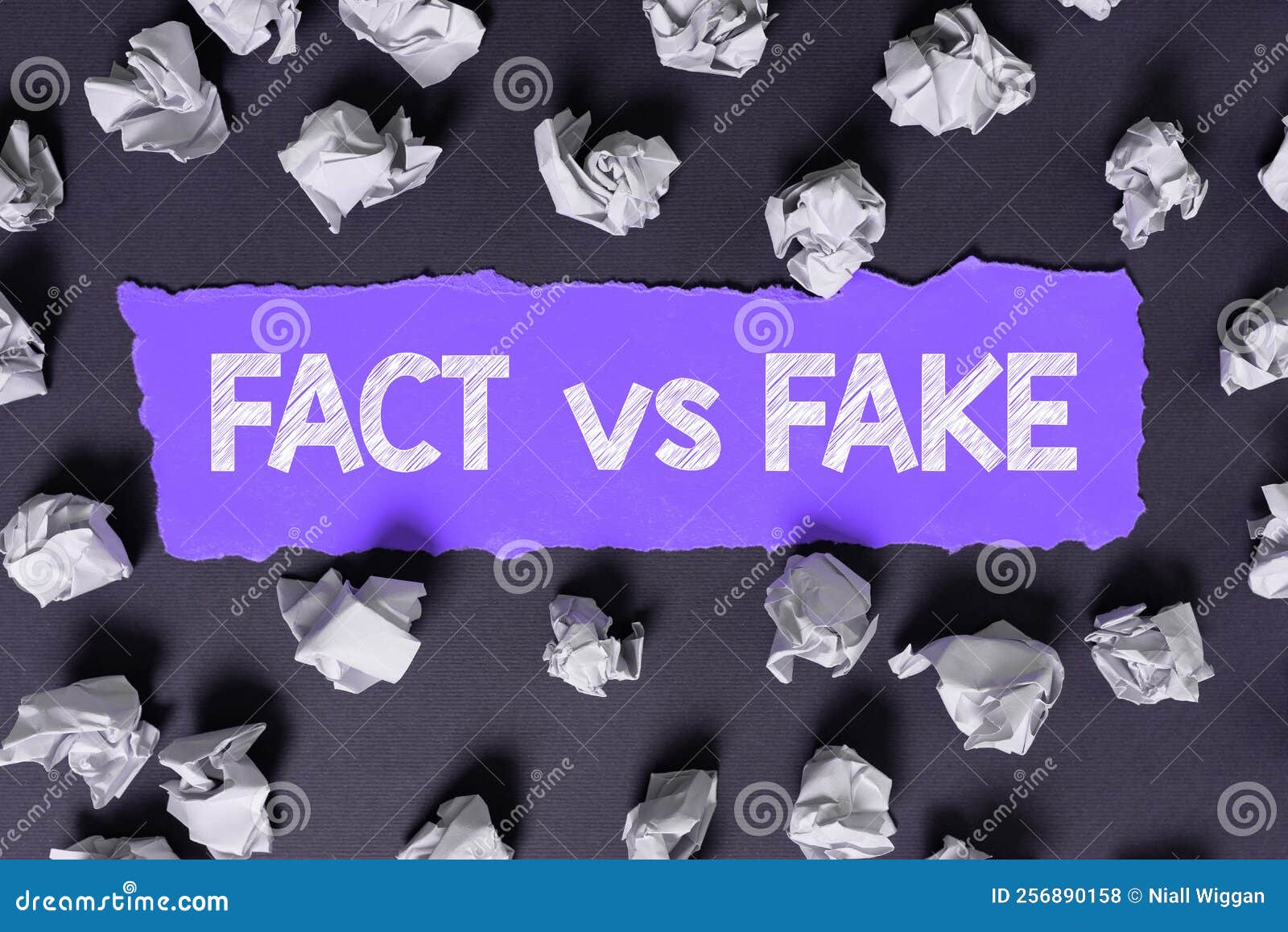 text sign showing fact vs fake. business approach rivalry or products or information originaly made or imitation