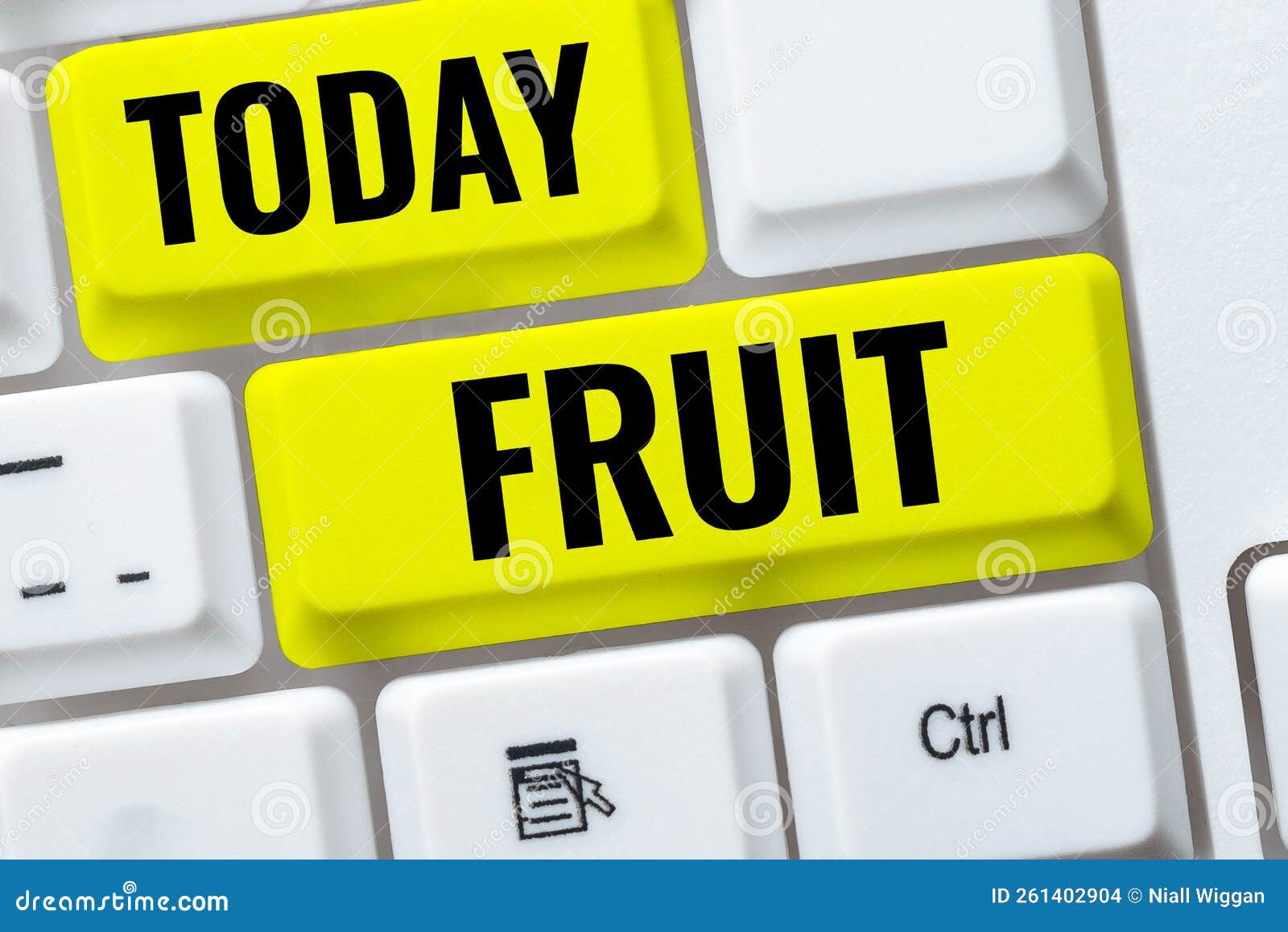 conceptual caption fruit. business showcase seedbearing in flowering plants formed the ovary after flowering