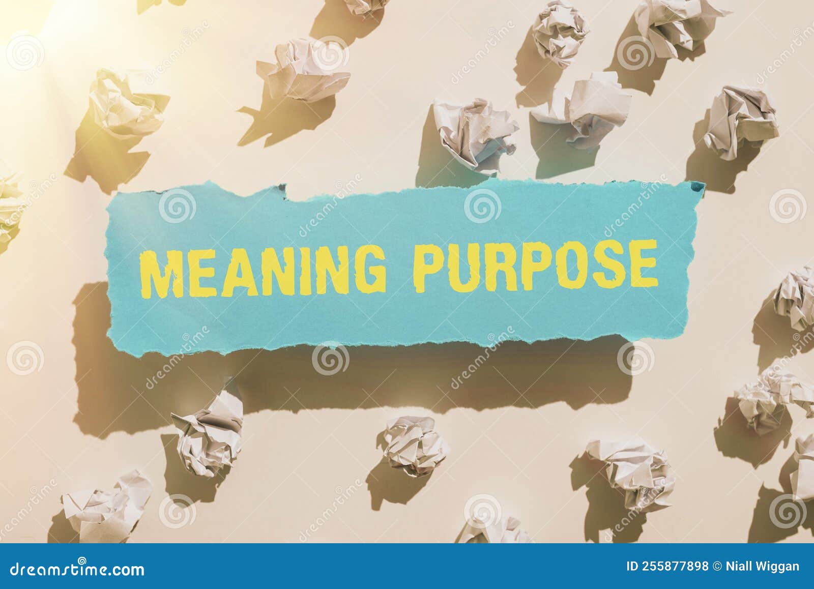 conceptual display meaning purposethe reason for which something is done or created and exists. conceptual photo the