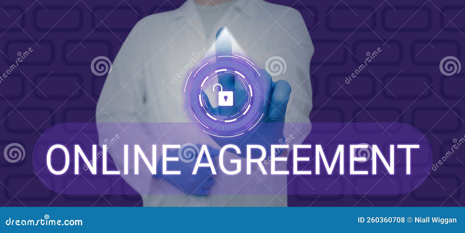 Conceptual Caption Online Agreement. Conceptual Photo Method Conducted