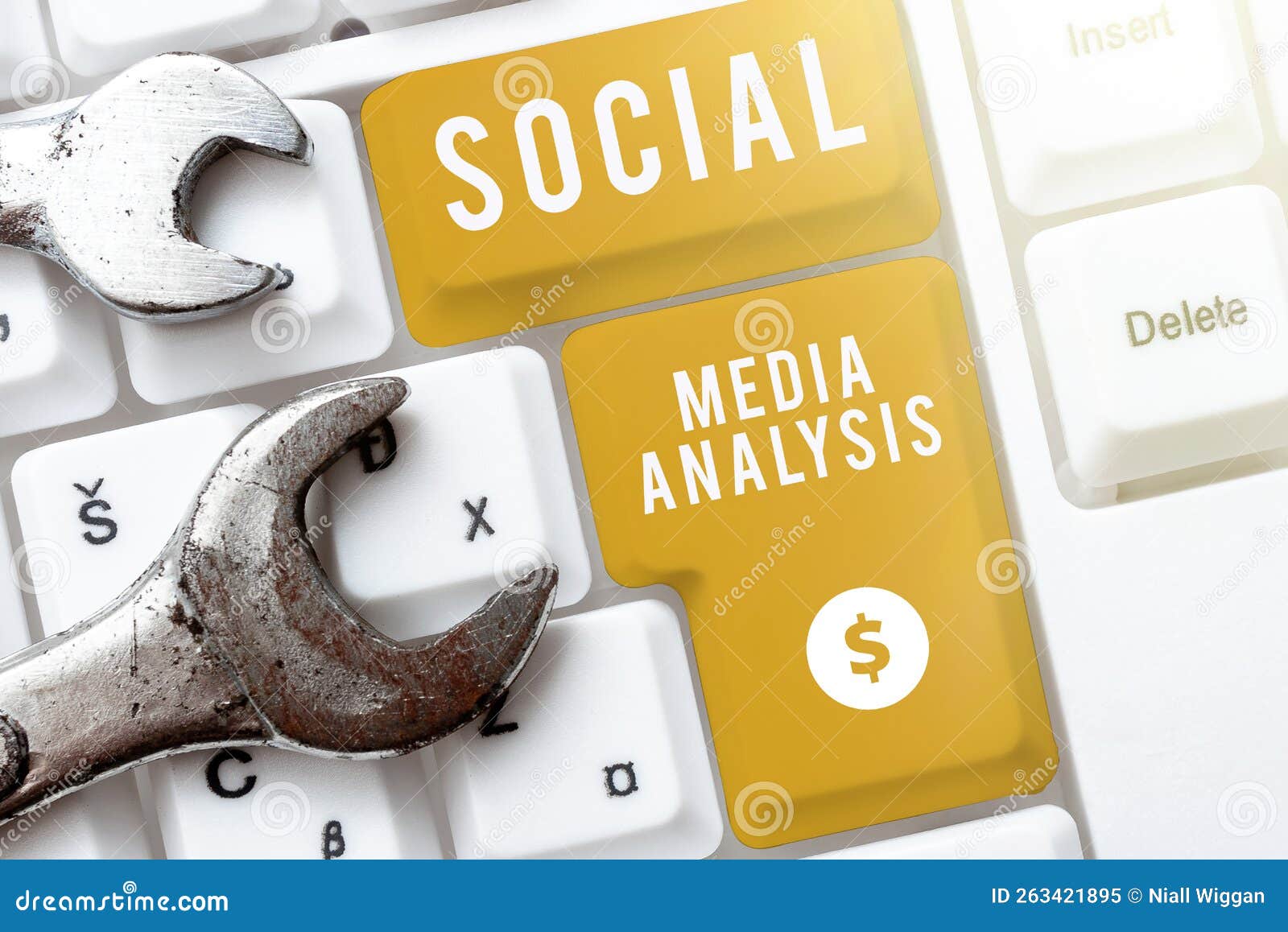 Conceptual Caption Social Media Analysis. Business Idea Collecting and