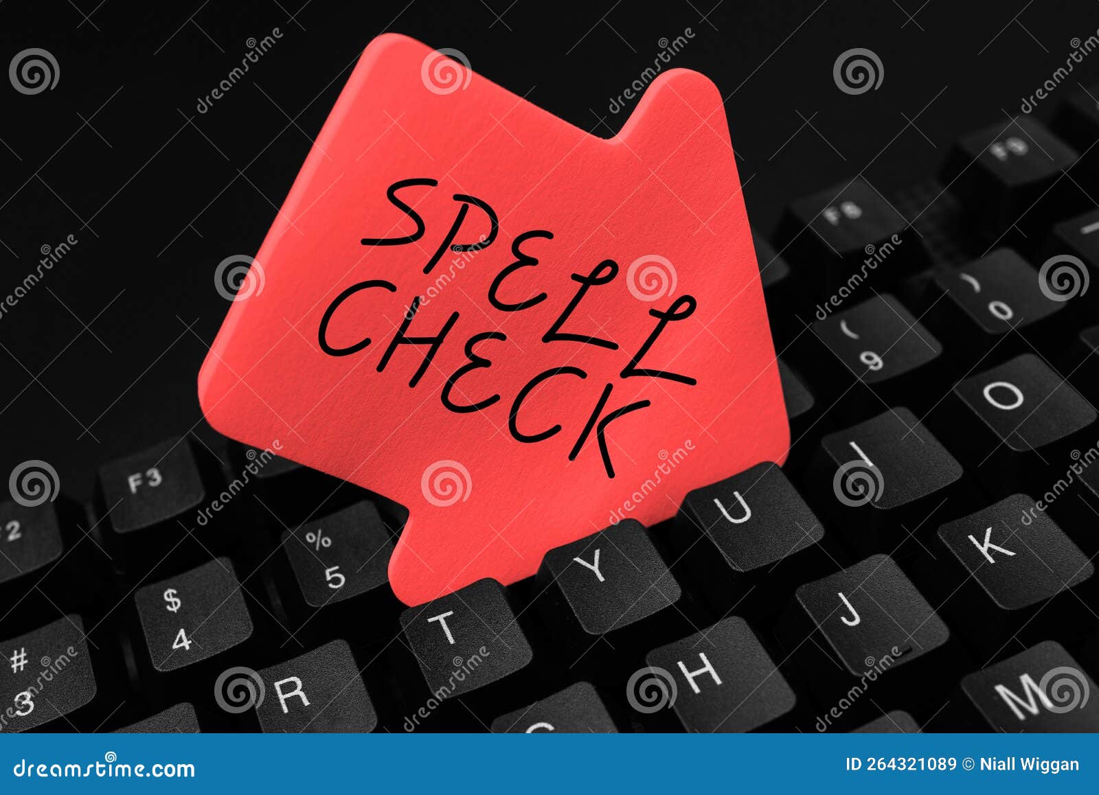 Conceptual Caption Spell Check. Business Idea To Use a Computer Program