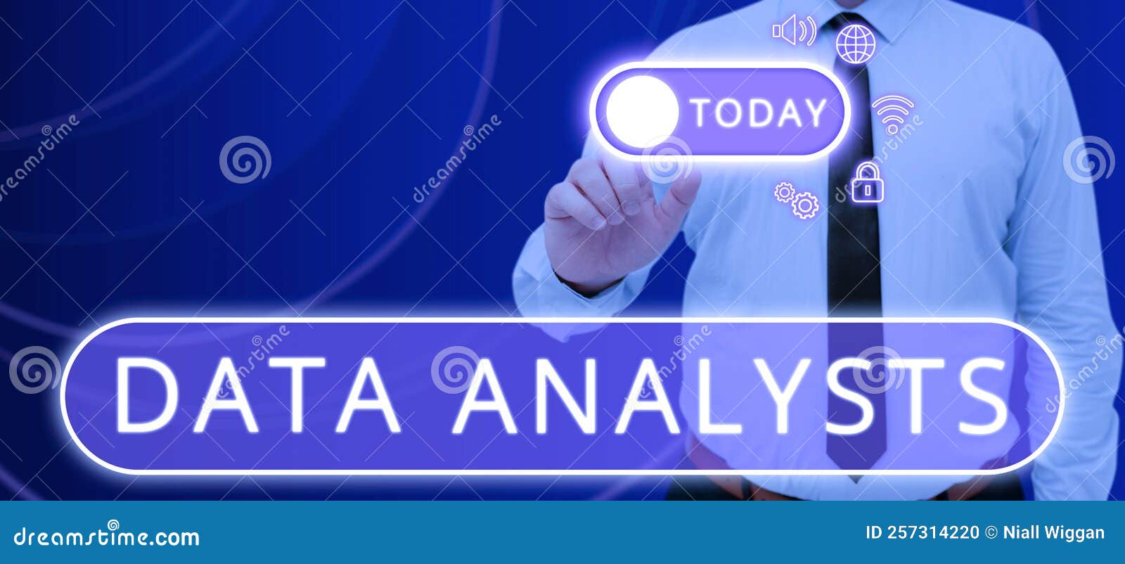 Conceptual Display Data Analysts. Concept Meaning Programmer Design and