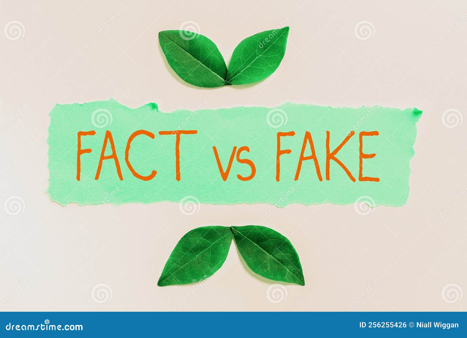 conceptual display fact vs fake. word written on rivalry or products or information originaly made or imitation