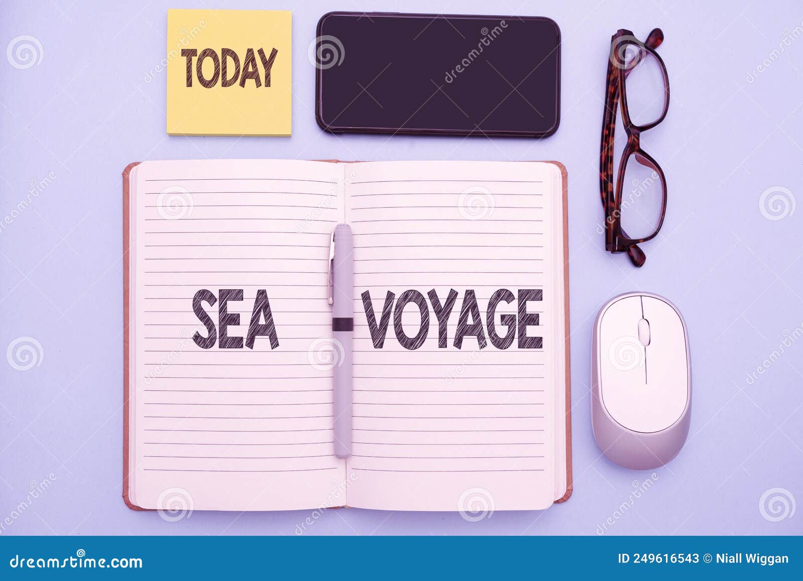 voyage meaning sea